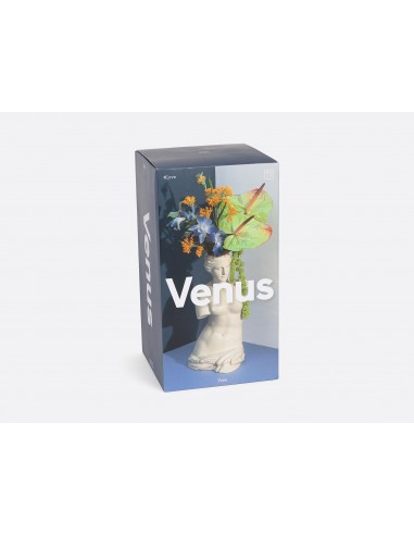 Vase venus white