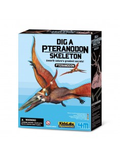 Deterre ton dino pteranodon