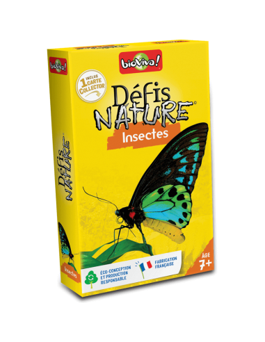 Defis nature - insectes