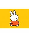 Miffy