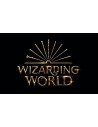 WIZARDING WORLD