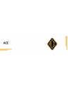 ACE
